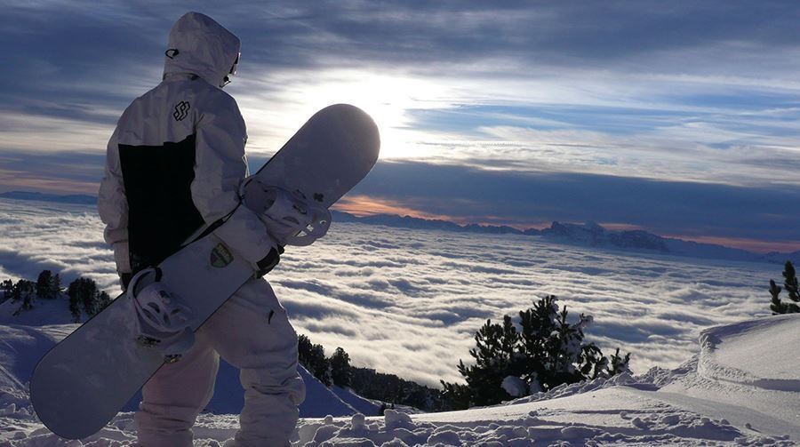 Важность антиоксидантов